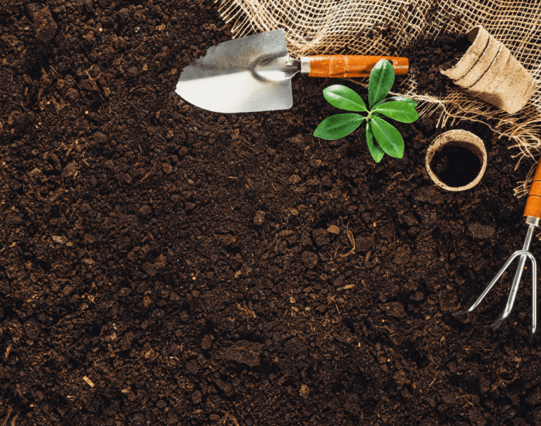 Cómo Preparar un Suelo Saludable para tu Huerto: Técnicas y Enmiendas