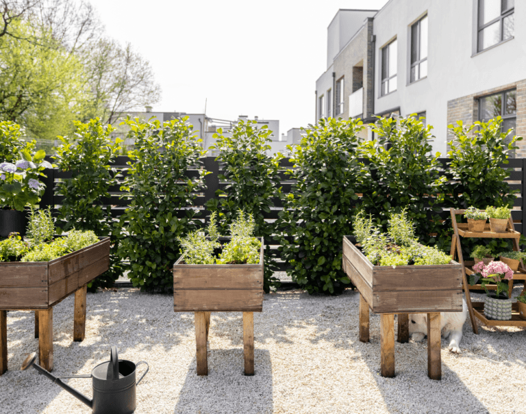 Jardinería Sostenible: Consejos para Reducir tu Huella Ambiental en el Jardín